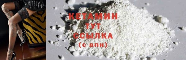 крисы Елабуга