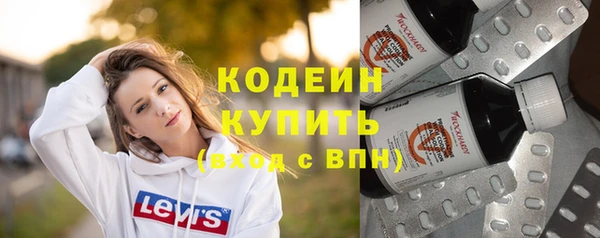 крисы Елабуга