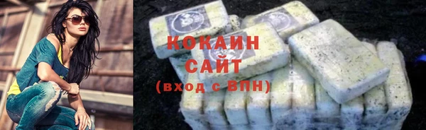 крисы Елабуга