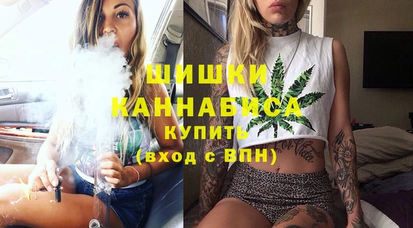 крисы Елабуга