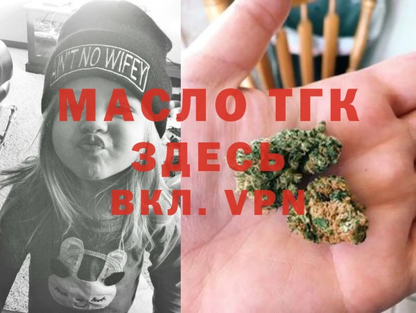 крисы Елабуга