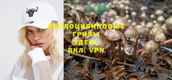крисы Елабуга