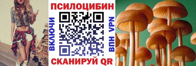 Псилоцибиновые грибы мухоморы Тбилисская