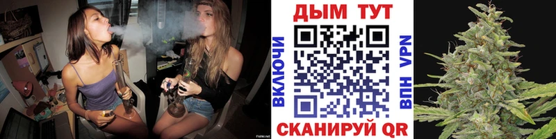 Каннабис план  сколько стоит  Тбилисская 